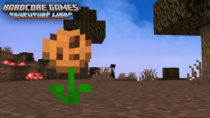IMAGEM 9.png