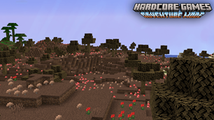 IMAGEM 10.png