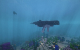 Humpback Whale