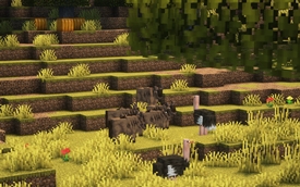 Ostrich and Wildebeest
