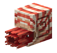 Nautilus.gif