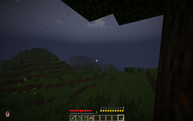 Rainy Weather