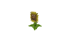 girasol video.gif