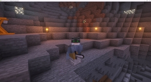 night_vision_elytra.jpg