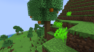 Yuzu tree in round lemonade forest