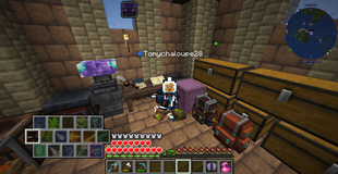 Came back from the ender