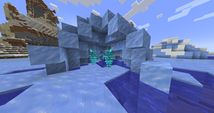 The Freeze