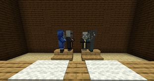 Illager Meeting