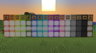 All New Froglight Colors!