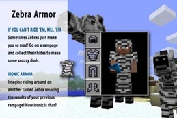 Zebra Armor