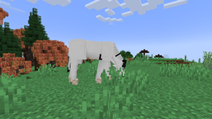 Stunning SWEM horses!