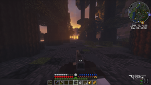 Gameplay