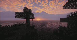 forgotten beauty