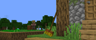 The Broom