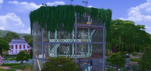 Screenshot 16
