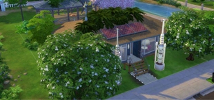 Screenshot 17