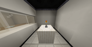 SCP 310