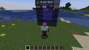 Nether Portal placemen Preview