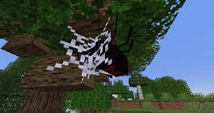 A Black Widow in a cobweb