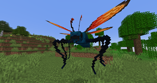 Tarantula Hawk