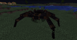 Tarantula