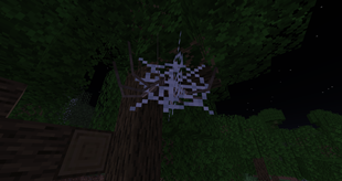 A Cellar Spider hanging in a tree