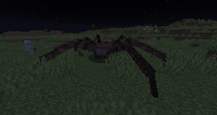 Huntsman Spider