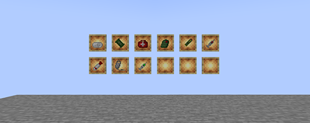 Items