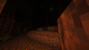 Night Forrest.png