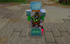 Embellishment Features