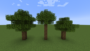 oak tree variants.png