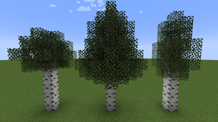 birch tree variants.png