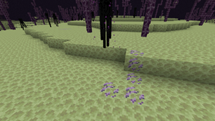 The end quartz ore