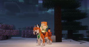Red lynx tamed