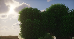 a picture of an oak tree with a sunrise in the background, taken with rainbow's foliage: vanilla edition