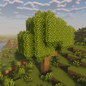 leaves.png