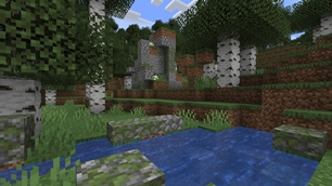 Pond and overgrown rock