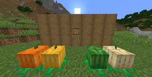 Pumpkins.png