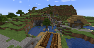 Near Spawn Village