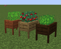 crops.png