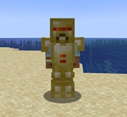 armor2.jpg