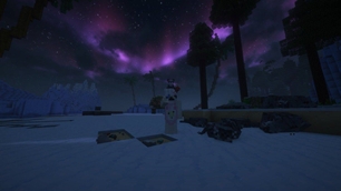 nighttimesealwatc.jpeg