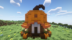 Pumpkin Survival House Front view