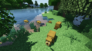 Beaver Family