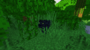 Black Jaguar