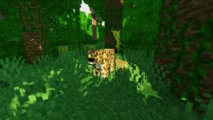Jaguar with her cub