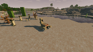 A group of meerkats look at a scorpion