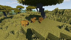A pack of hyena's