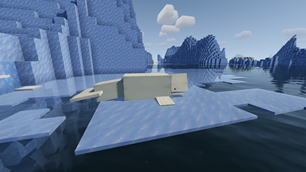 Beluga outside the water