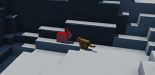 Cougar hunting a goat